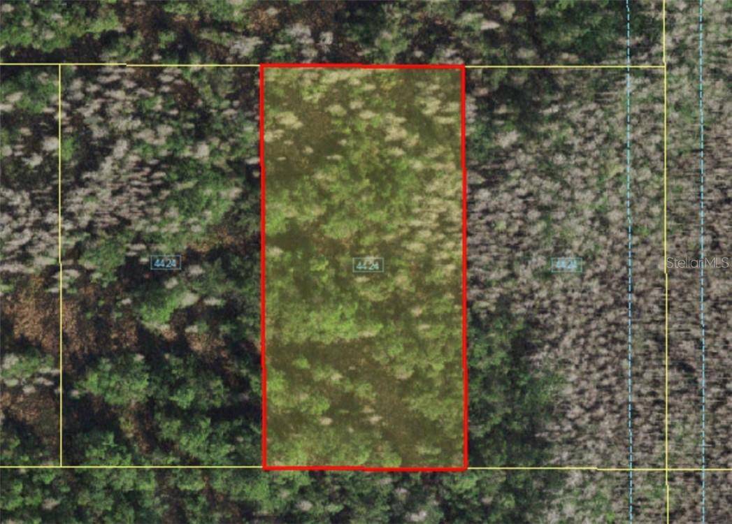 HOLOPAW GROVES RD, St Cloud, FL 34773