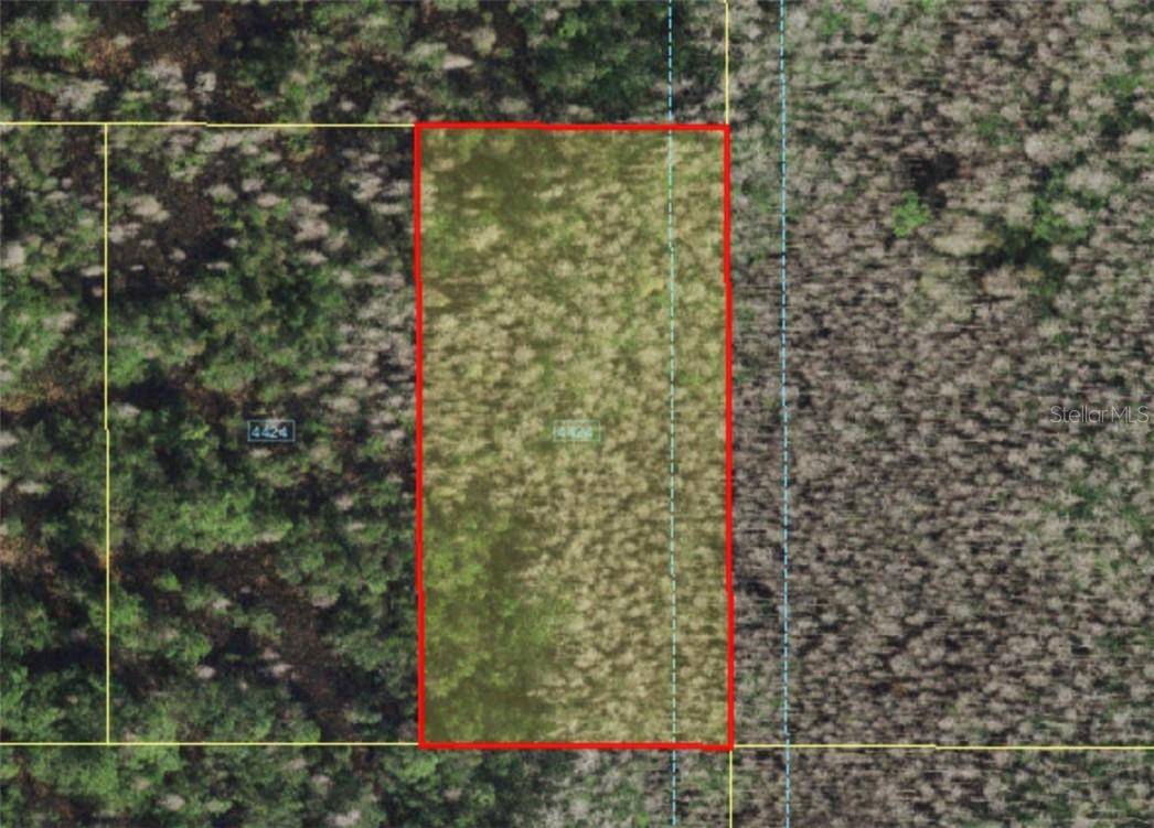 HOLOPAW GROVES RD, St Cloud, FL 34773