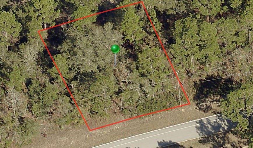 9234 N CITRUS SPRINGS BLVD, Citrus Springs, FL 34433