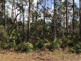 LOLLY RD, North Port, FL 34286