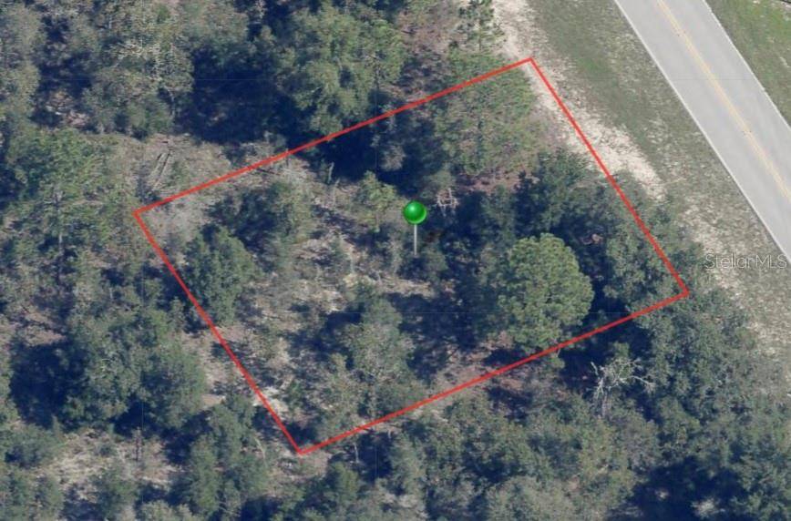 8242 N ELKCAM BLVD, Citrus Springs, FL 34433