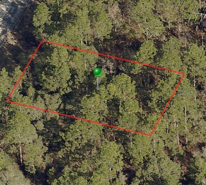 2982 W MARIE DR, Citrus Springs, FL 34433