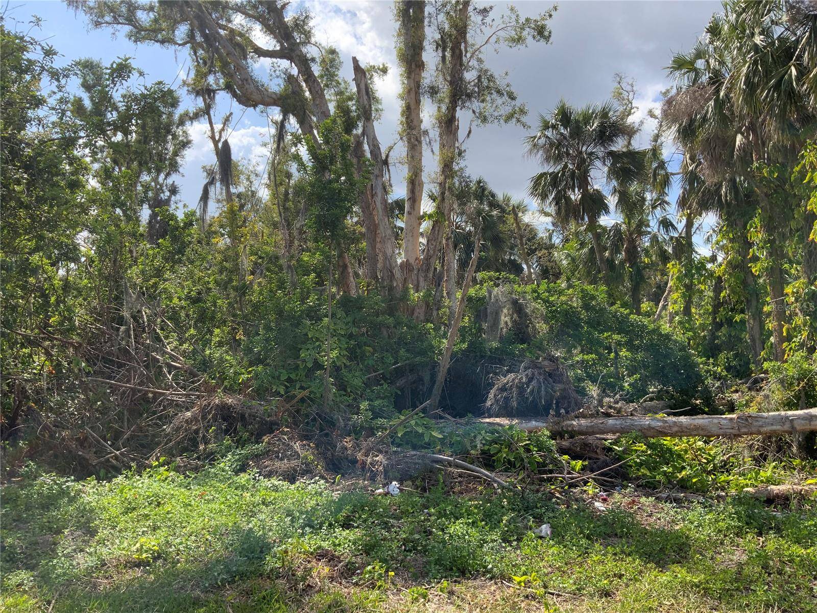 2271 WESTWOOD RD, North Fort Myers, FL 33917