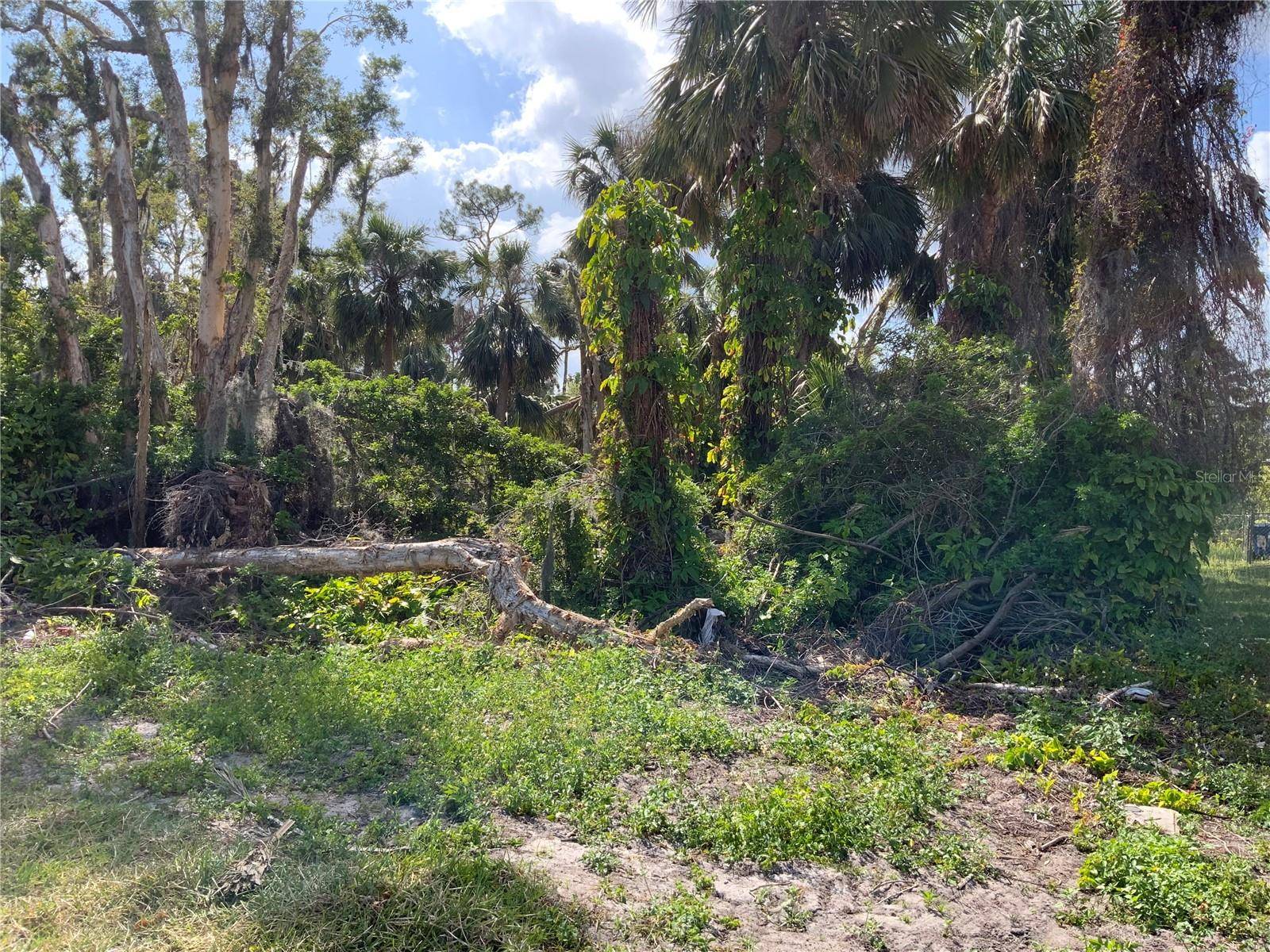 2271 WESTWOOD RD, North Fort Myers, FL 33917