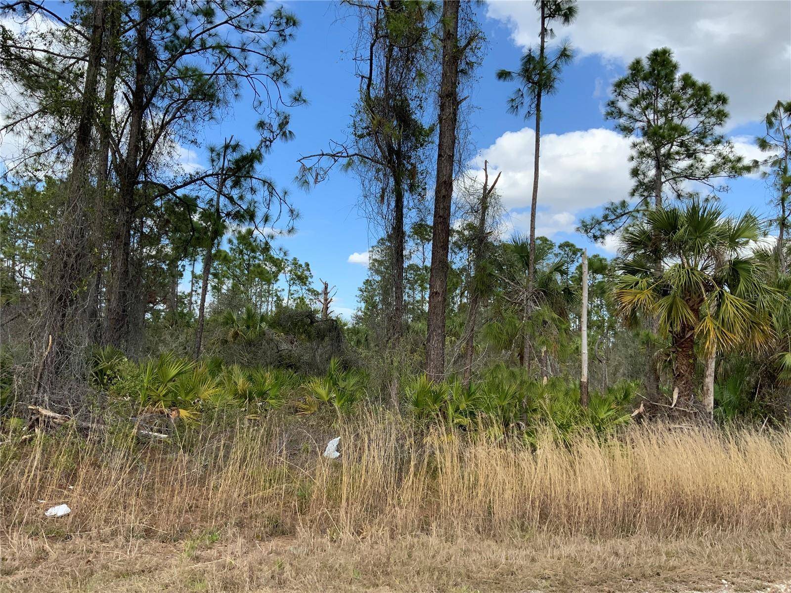 4219 E 30TH ST, Alva, FL 33920