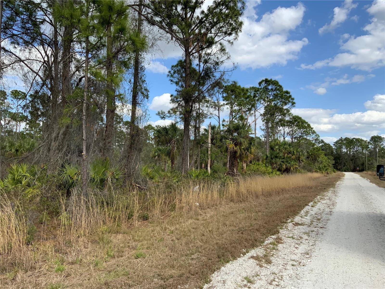 4219 E 30TH ST, Alva, FL 33920