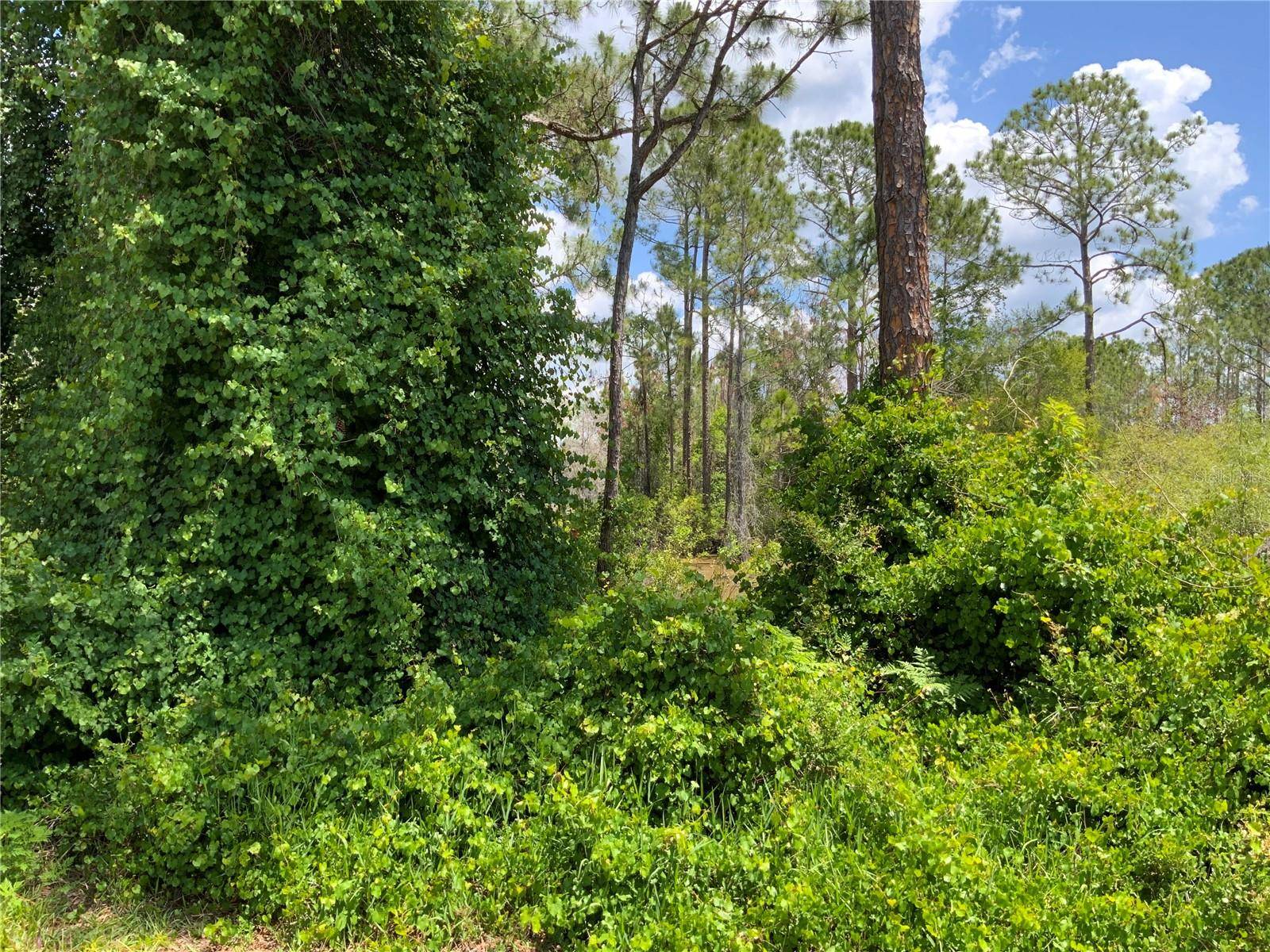 2690 KINGSDALE DR, Deltona, FL 32738
