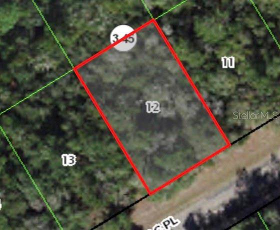379 W MAC PL, Citrus Springs, FL 34434