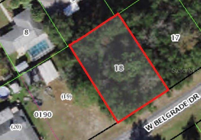 1949 W BELGRADE DR, Citrus Springs, FL 34434