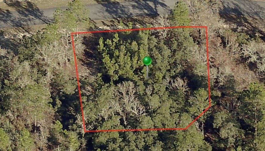 3198 W MONTGOMERY LN, Citrus Springs, FL 34433