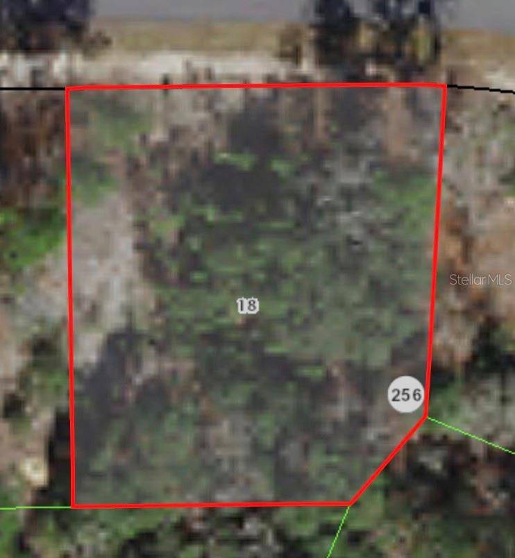 3198 W MONTGOMERY LN, Citrus Springs, FL 34433
