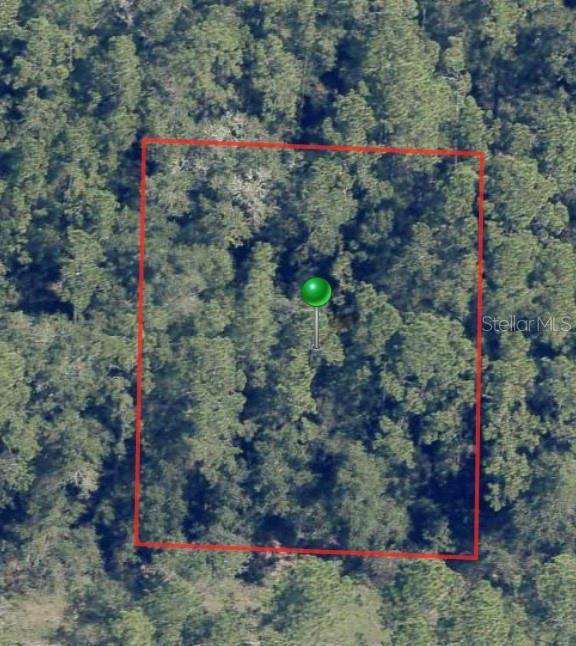 225 E ENFIELD LN, Citrus Springs, FL 34434