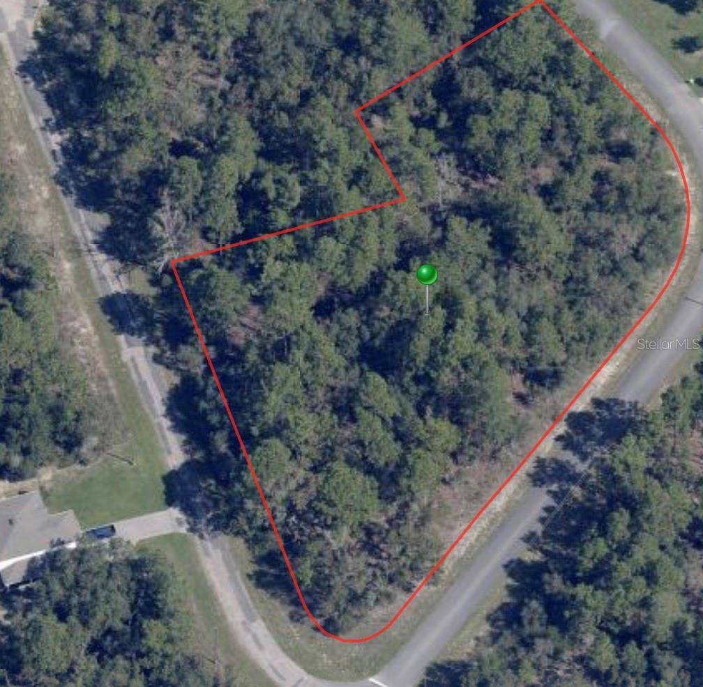8021 N EPIC DR, Citrus Springs, FL 34433