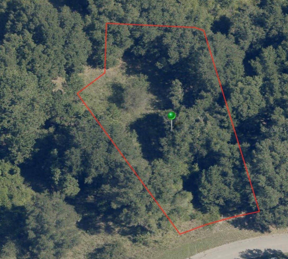 8047 N ELWOOD WAY, Citrus Springs, FL 34434