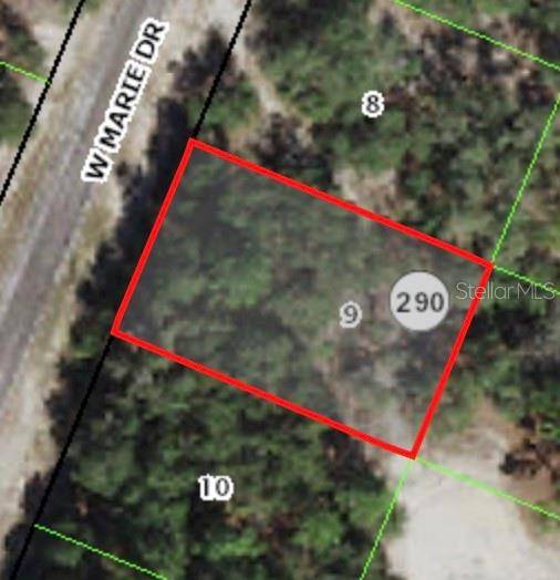 3050 W MARIE DR, Citrus Springs, FL 34433