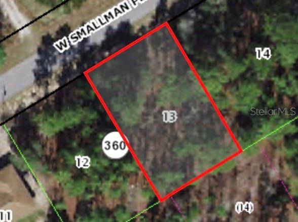 816 W SMALLMAN PL, Citrus Springs, FL 34434
