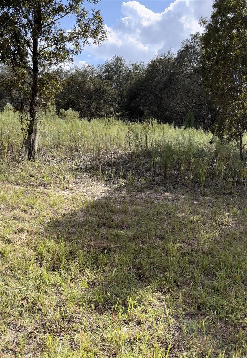 1656 W HAMPSHIRE BLVD, Citrus Springs, FL 34434