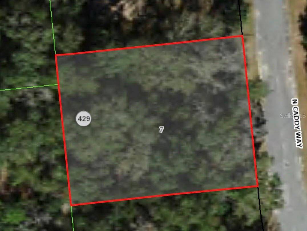 9020 N CADDY WAY, Citrus Springs, FL 34434