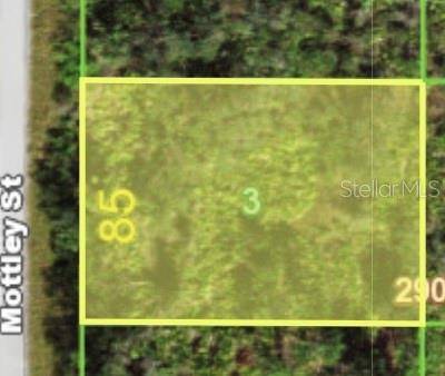 1468 MOTTLEY ST, Port Charlotte, FL 33953