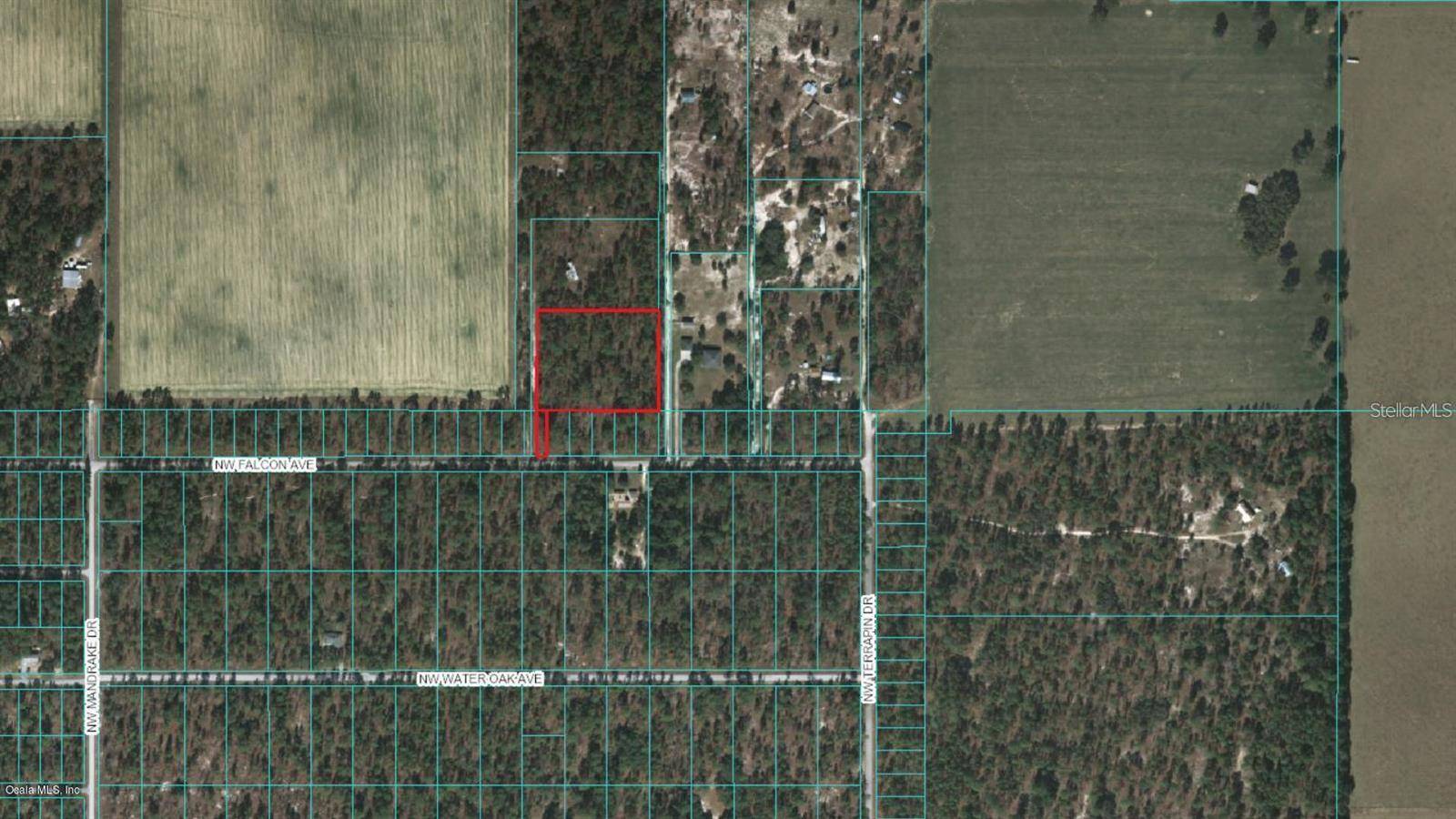 NW FALCON AVE, Dunnellon, FL 34431