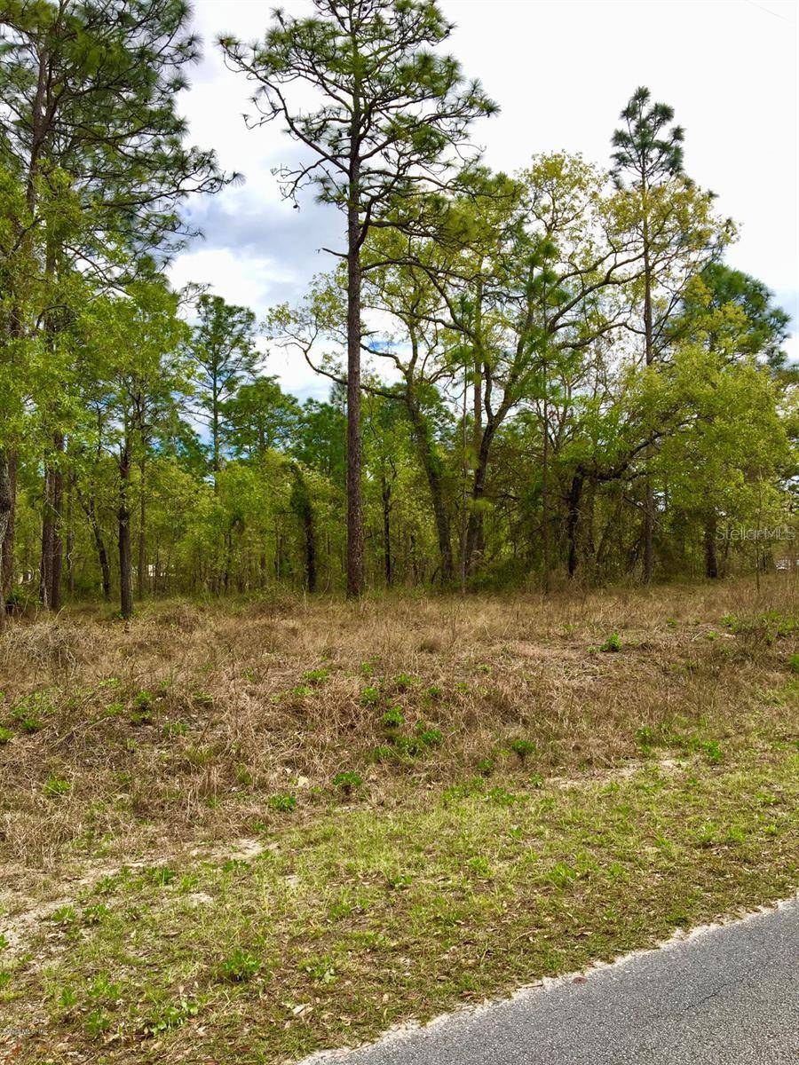 NW FALCON AVE, Dunnellon, FL 34431
