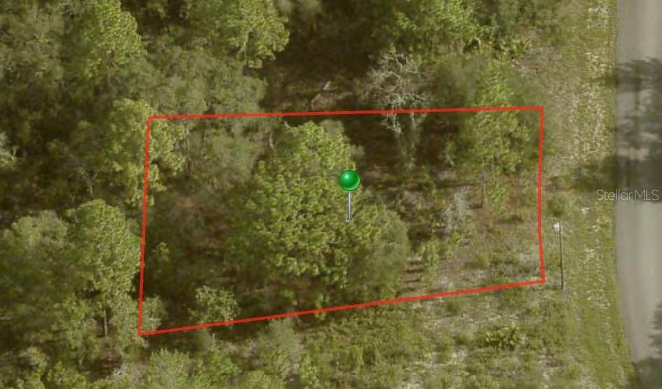 6692 N BUCKSKIN DR, Citrus Springs, FL 34434