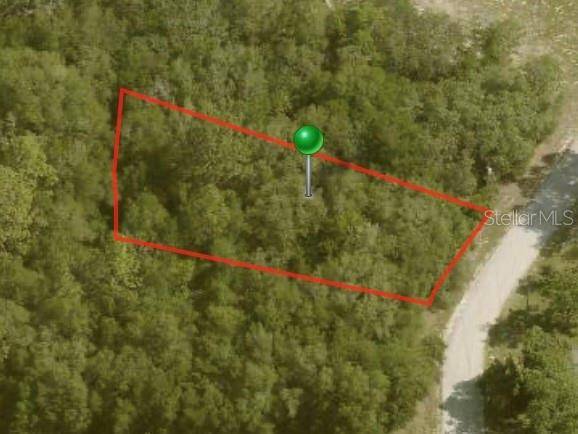 10112 N HALSEY WAY, Citrus Springs, FL 34434