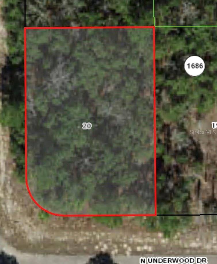 6621 N UNDERWOOD DR, Citrus Springs, FL 34434