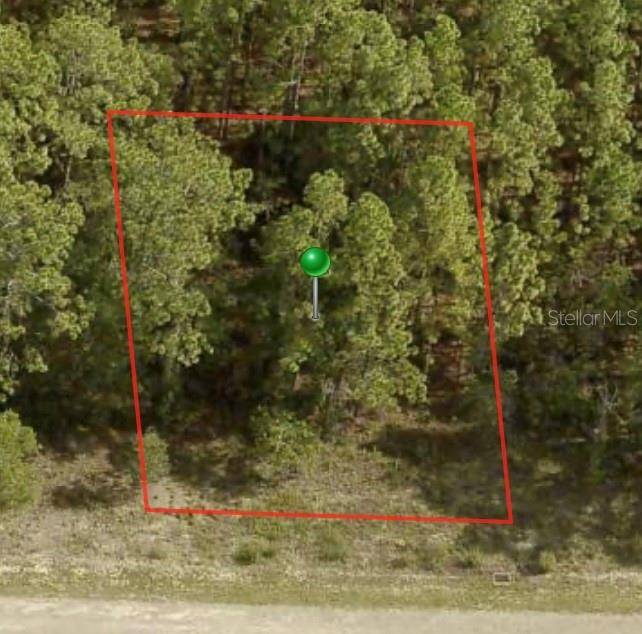1233 W RILEY DR, Citrus Springs, FL 34434