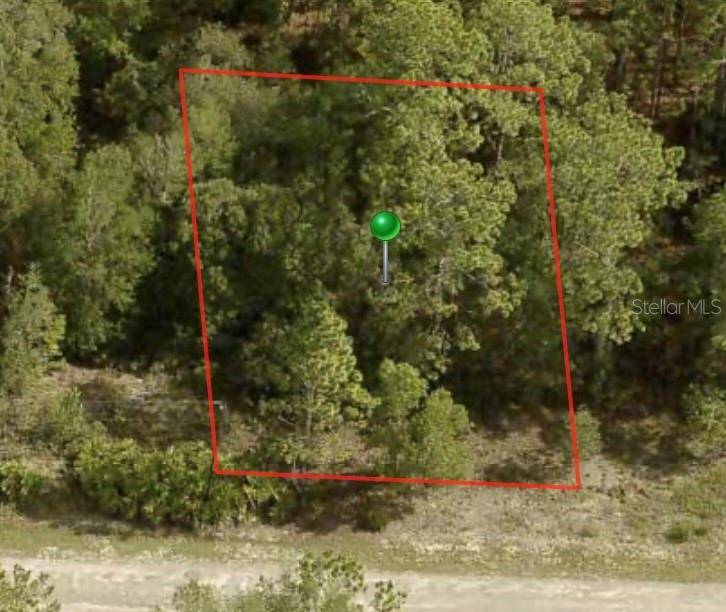1245 W RILEY DR, Citrus Springs, FL 34434