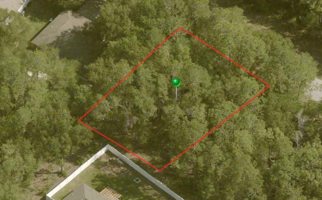9772 N LORETTA WAY, Citrus Springs, FL 34434