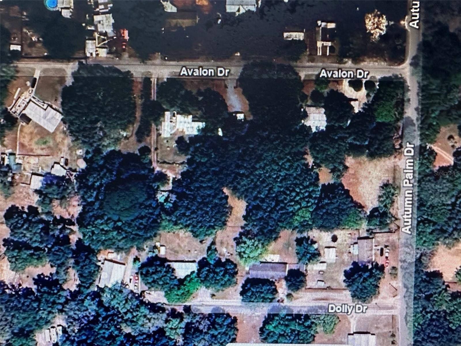 Address not disclosed, Zephyrhills, FL 33541