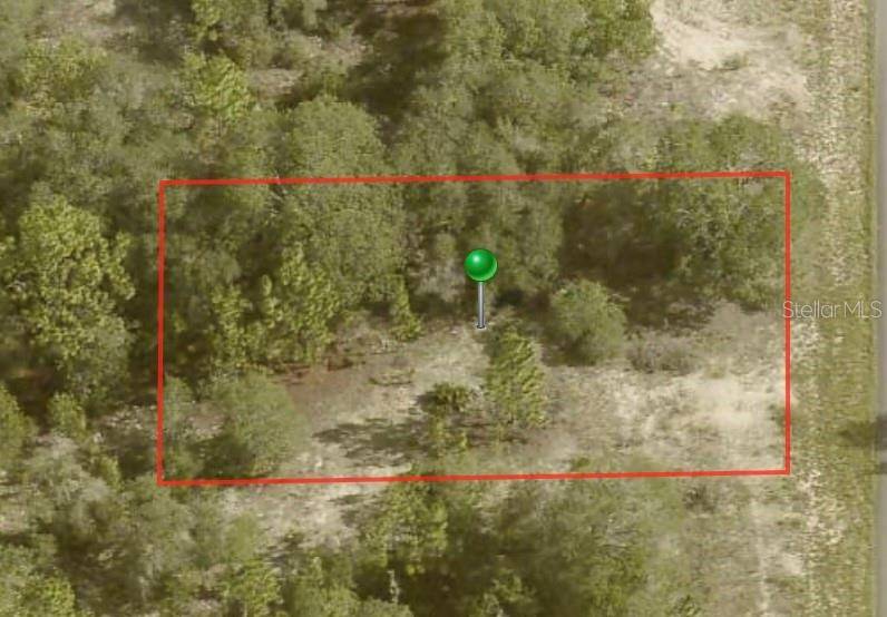 6706 N TASSEL TER, Citrus Springs, FL 34433