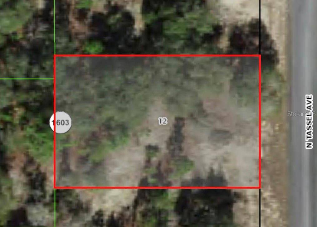 6706 N TASSEL TER, Citrus Springs, FL 34433
