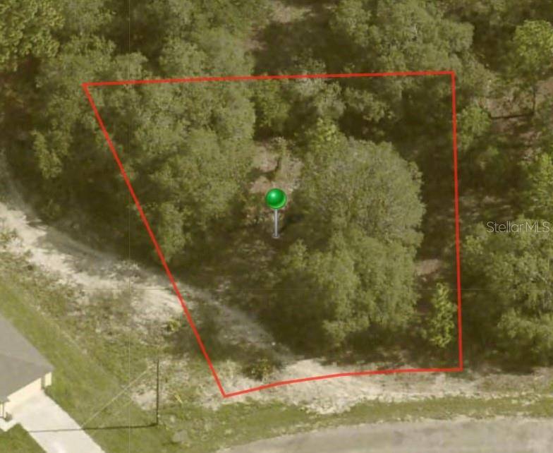 6696 N ROLAND DR, Citrus Springs, FL 34433