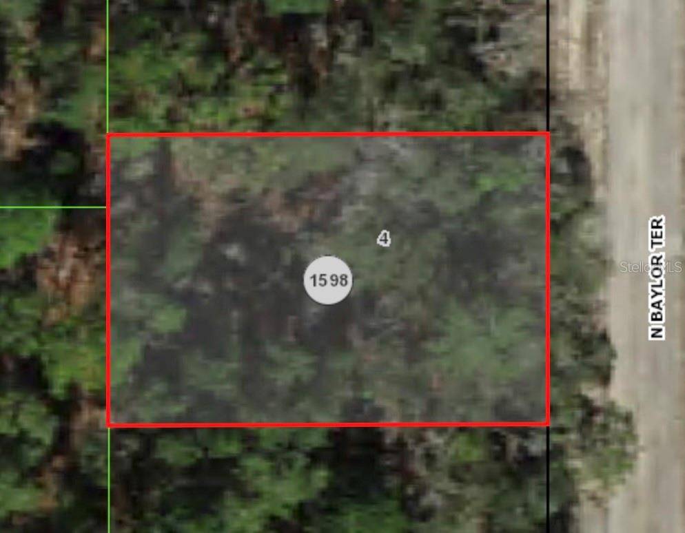 6492 N BAYLOR TER, Citrus Springs, FL 34433