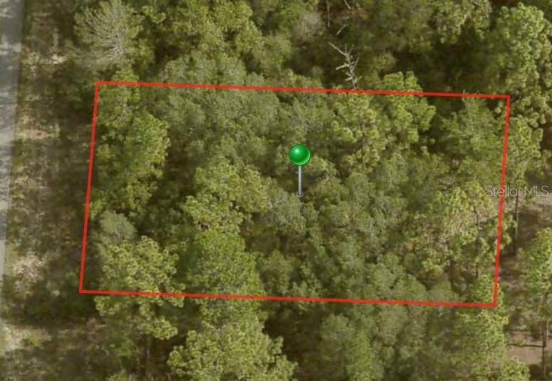 3656 W PARKVIEW DR, Citrus Springs, FL 34433