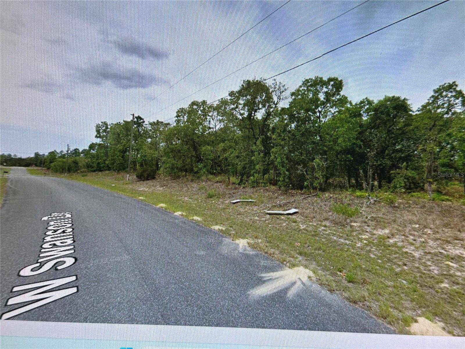2466 W SWANSON DR, Citrus Springs, FL 34434
