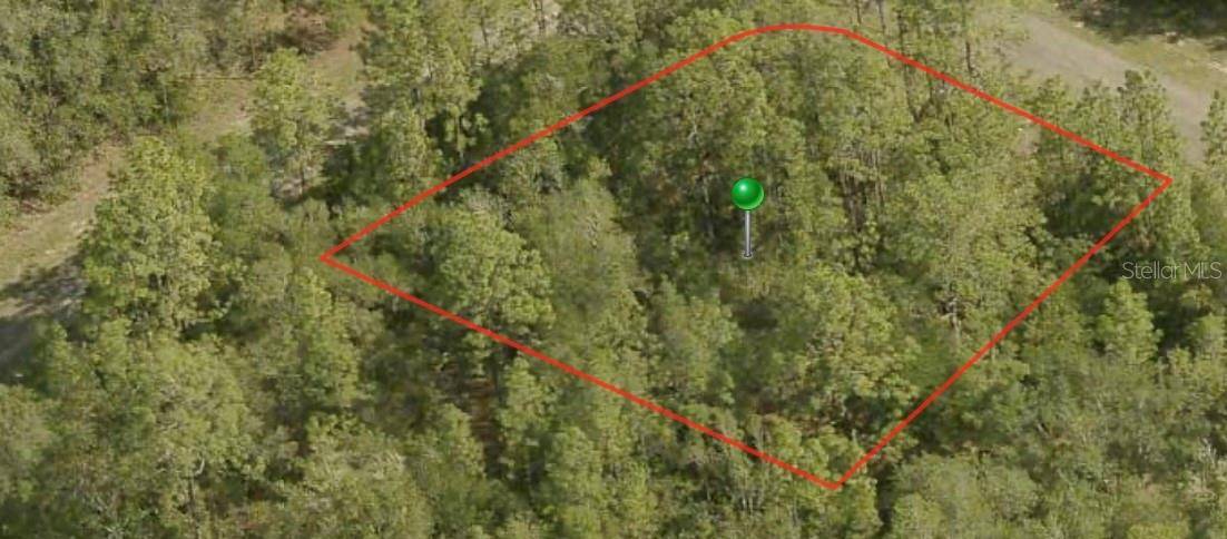 422 W PARROT PL, Dunnellon, FL 34434