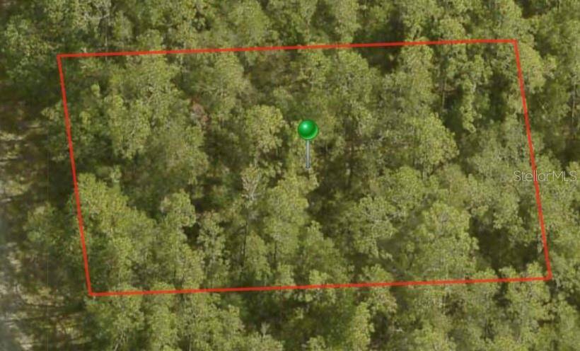 8759 N SAWYER TER, Dunnellon, FL 34434