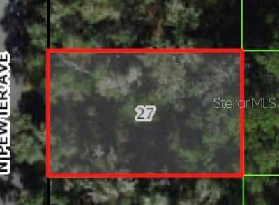 9471 N PEWTER AVE, Dunnellon, FL 34434