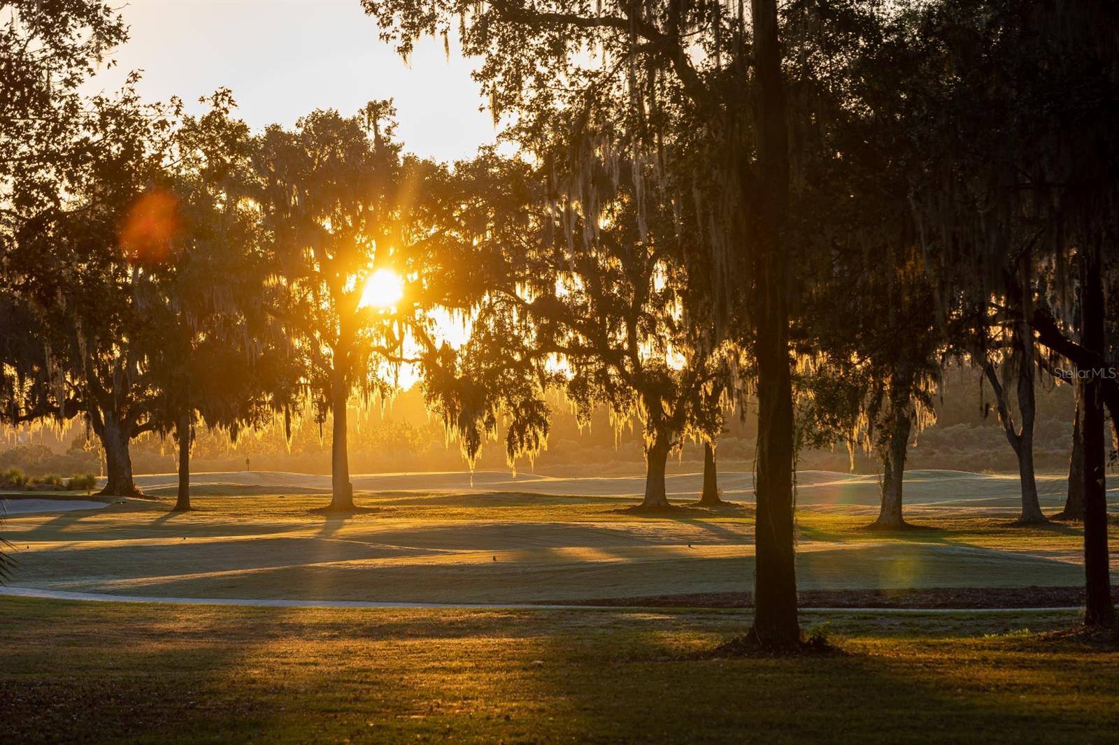 NW 31ST LANE RD, Ocala, FL 34482
