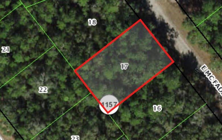 127 E MCFADDIN PL, Dunnellon, FL 34434