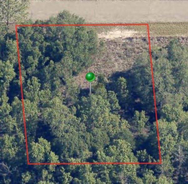 6654 N UNDERWOOD DR, Citrus Springs, FL 34434