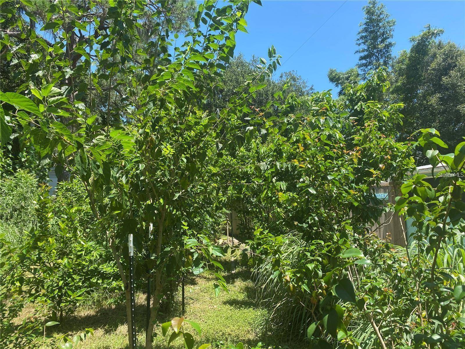 456 WASHINGTON AVE, Osprey, FL 34229