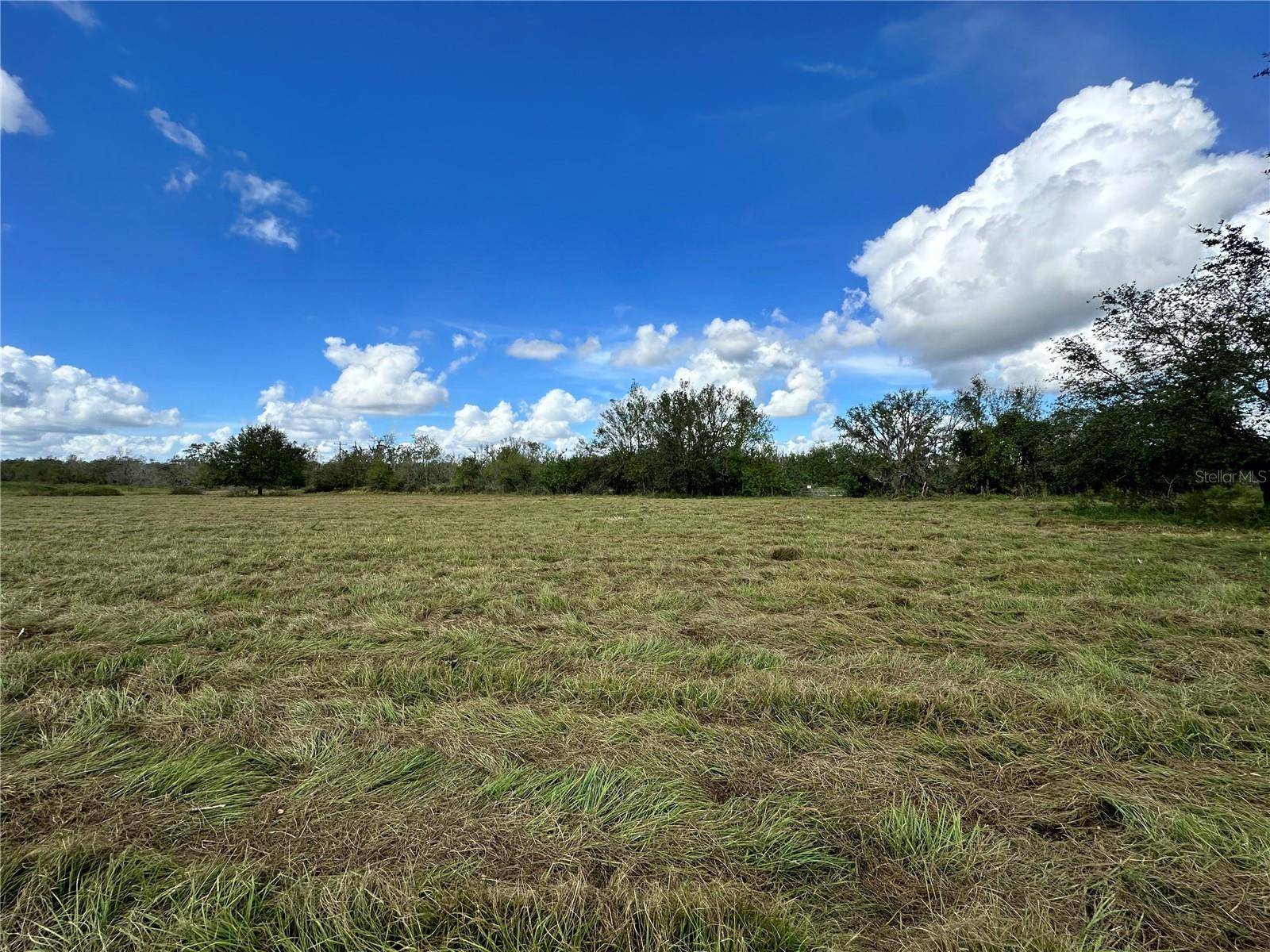 WAUCHULA RD, Myakka City, FL 34251