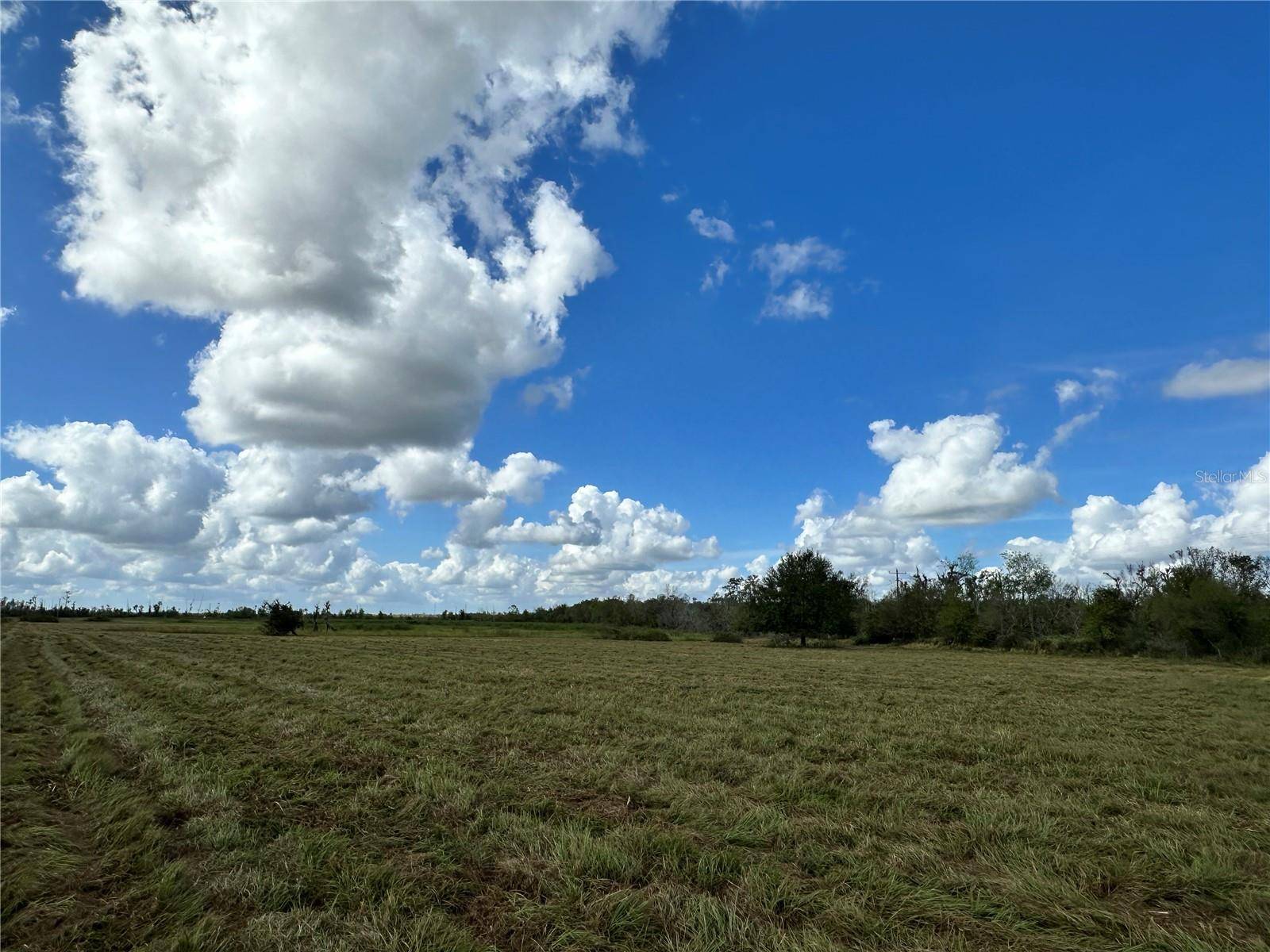WAUCHULA RD, Myakka City, FL 34251