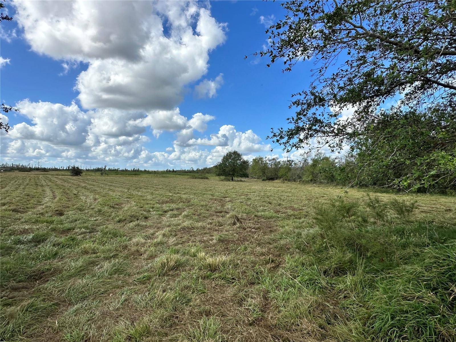 WAUCHULA RD, Myakka City, FL 34251