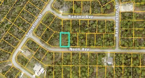 NEON AVE, North Port, FL 34291