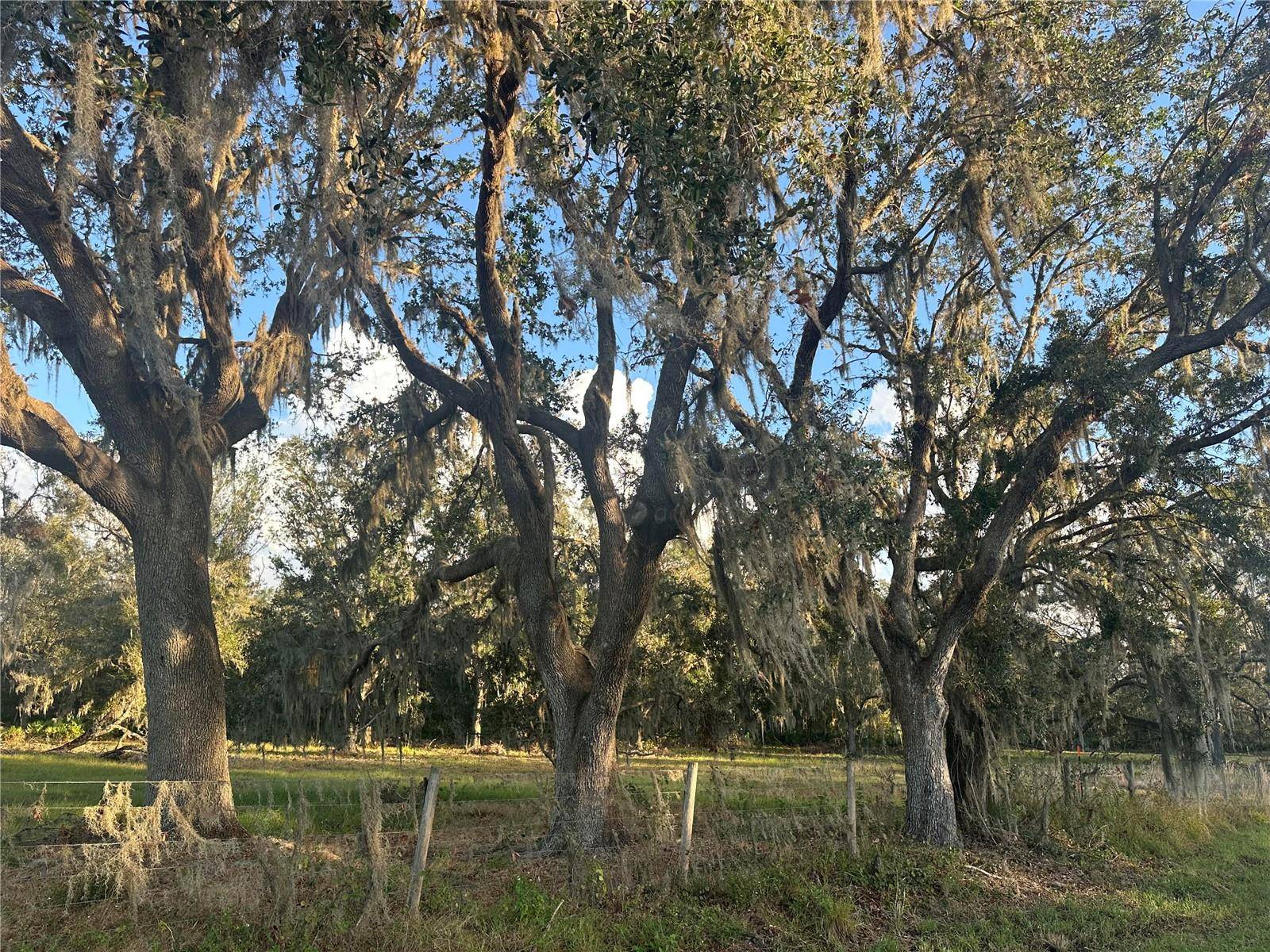 Address not disclosed, Wauchula, FL 33873